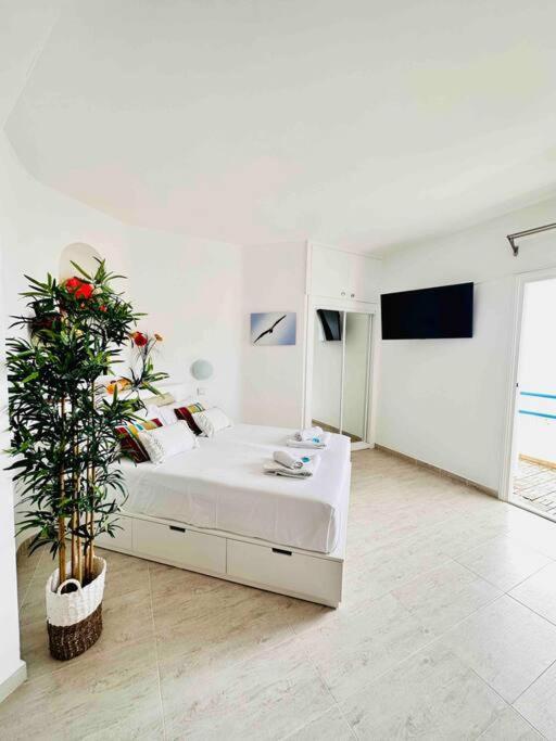 Mirador Paraiso: Superb Sea View Playa Paraiso  Exterior foto